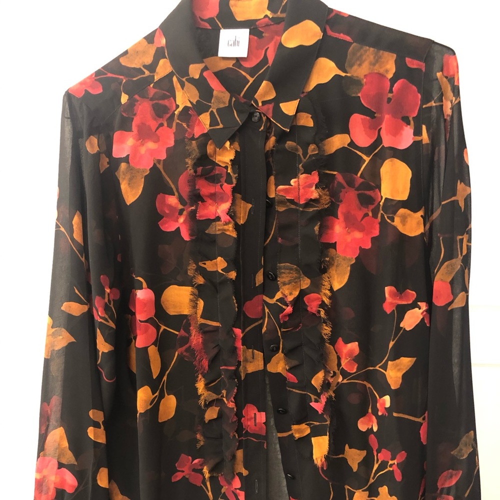 Cabi Blouse